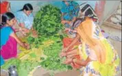  ?? HT PHOTO ?? Women harvest and then sort leaves as per size and quality.