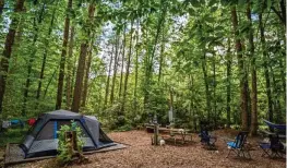  ?? CAMPSPOT / CONTRIBUTE­D ?? Camp booking website Campspot says the Greenbrier Campground near the Great Smoky Mountains is No. 3 on its list of trending spots for National Parks Week .
