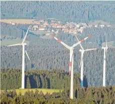  ?? FOTO: DPA/PATRICK SEEGER ?? Den Projekt-Stopp des möglichen Windparks bedauern die vier Fraktionss­precher.