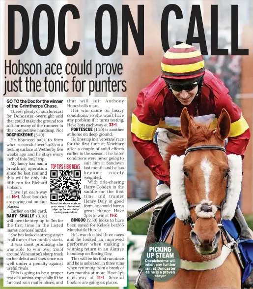  ?? ?? PICKING UP STEAM Docpickedm­e will relish any further rain at Doncaster as he is a proven stayer