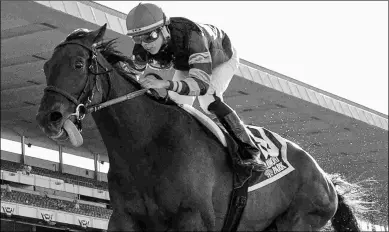  ?? BARBARA D. LIVINGSTON ?? Diversify, under Irad Ortiz Jr., goes wire to wire in the Suburban on Saturday. He ran the 1 1/4 miles in 1:59.84 and earned a lifetime-best Beyer Speed Figure of 110.