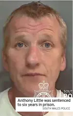  ?? SOUTH WALES POLICE ?? Anthony Little was sentenced to six years in prison.