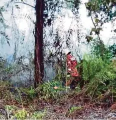  ??  ?? ANGGOTA bomba memadam kebakaran hutan di Tanjung Manis.
