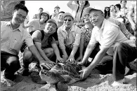  ?? CAI RUIZHI / FOR CHINA DAILY ?? Animal lovers take pictures with a sea turtle in October before it is set free at the National Huizhou Sea Turtle Reserve.