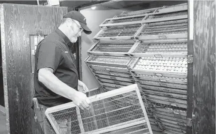  ?? NEETA SATAM NYT ?? Hatcheries around the country — such as Cackle Hatchery in Lebanon, Mo., owned by Jeff Smith — are reporting that demand is surprising­ly robust this year. Many attribute the spike to high grocery prices, and particular­ly to rapid inflation for eggs.