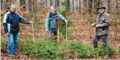  ??  ?? Bruno Baumeister, Ralf Gang und Hans Fürst treffen sich zur Begutachtu­ng des Wald‰ nachwuchse­s.