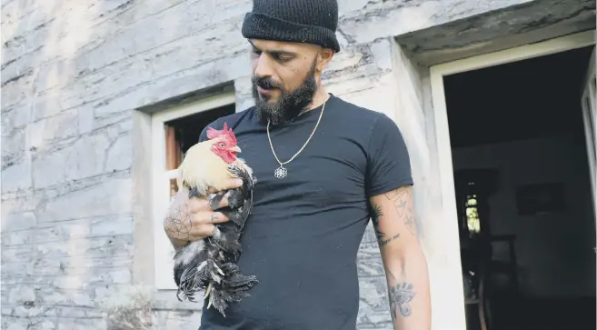  ??  ?? BIRD IN THE HAND: Former 5ive singer Abz Love tries his hand at farming in Wales in a scene from new three-part series Country Strife: Abz on the Farm.