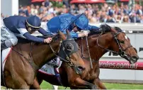  ?? Courtesy Godolphin website ?? Godolphin’s Best Solution on way to winning the Caulfield Cup in a photo finish. —