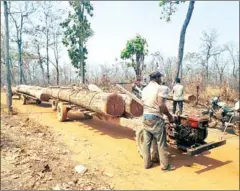  ?? PLCN VIA FACEBOOK ?? The PLCN published a report which claimed that the Prey Lang forest has lost 40,000ha in the last 18 years.