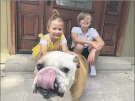  ?? JENNIFER ASBURY ?? Luca Asbury, 6, left, and her brother Will Asbury, 8, with their dog Drake in Littleton, Colo. Will is going into third grade. School starts Aug. 24 and he’ll be there in person.