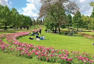  ??  ?? Sole e prati
Il meteo oggi permetterà escursioni di tutti i tipi. Nella foto di Cinzia Malaguti la fioritura dei tulipani a Parco Sigurtà