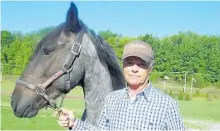  ?? VALERIE MACDONALD/POSTMEDIA NETWORK ?? Randy Bird and third-generation mustang, Jackson, will be part of the Warkworth Fall Fair on Sept. 10 and 11, along with several other horses and ring crew.