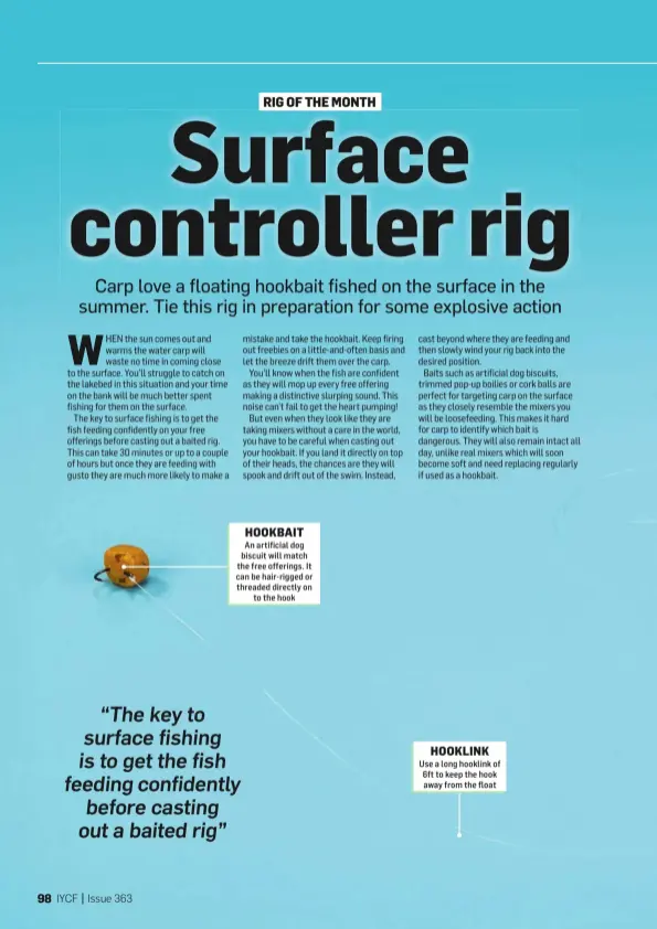  ??  ?? HOOKBAIT
An artificial dog biscuit will match the free offerings. It can be hair- rigged or threaded directly on to the hook HOOKLINK
Use a long hooklink of 6ft to keep the hook away from the float