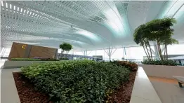  ??  ?? Above: Greenery inside T2’s Arrival Hall