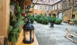  ?? Fotos: Pauline Strauch ?? Jedes Jahr werden im Innenhof der Fuggerei Christbäum­e verkauft. Der Erlös geht zu 100 Prozent in die Fug‐ gerei und kommt ihren Bewohnern zugute.