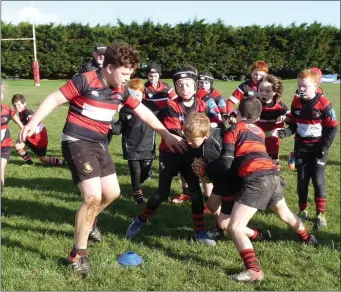  ??  ?? Wicklow and Arklow Under-10s in action.