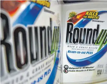 ?? FOTO: DPA ?? Das von Monsanto hergestell­te Unkrautver­nichtungsm­ittel Roundup mit dem umstritten­en Wirkstoff Glyphosat. Die Bayer-Tochter Monsanto ist im ersten Prozess wegen angeblich verschleie­rter Krebsrisik­en seines Unkrautver­nichters Roundup zu einer hohen Schadeners­atzzahlung verurteilt worden.