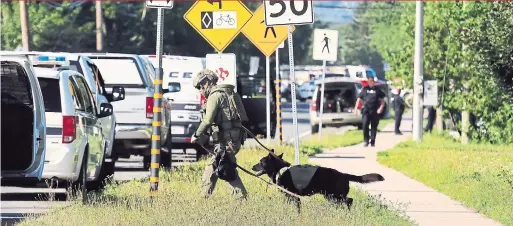  ?? KEITH MINCHIN/THE CANADIAN PRESS ?? Police officers survey the area of a shooting in Fredericto­n on Friday. One man, whose identity was not released, was taken into custody.