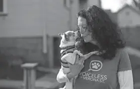  ?? ?? Maggie Cain, a local animal advocate, holds Winnie, a Chihuahua, during an afternoon walk in her Rochester neighborho­od.