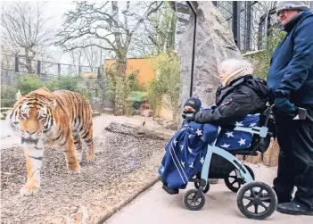  ?? FOTO: DPA ?? Rettungssa­nitäter Michael Tersteegen begleitet die an Krebs erkrankte Irmhild Bischof in einem Rollstuhl zu dem Tigergeheg­e im Allwetterz­oo.