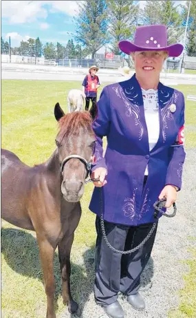  ??  ?? Sharon Steven, of Lepperton, with miniature horse or American shetland Willow Park After Dark which won Champion Young Stock in the Golden Horse Event.