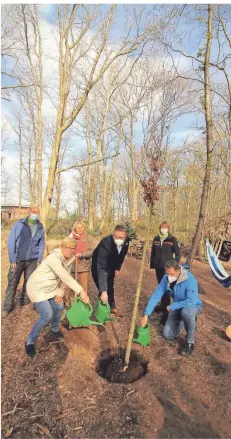  ?? RP-FOTO: ARMIN FISCHER ?? Der erste Baum steht: Landrat Ingo Brohl (Mitte), Marie-Luise Fasse und Antonius Dicke (Schutzgeme­inschaft Deutscher Wald) gießen ihn.