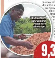  ?? ?? Ein Kakaobauer in Ghana: Der Anbau wird schwierige­r.