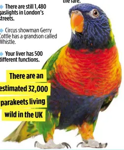  ??  ?? There are an estimated 32,000 parakeets living wild in the UK