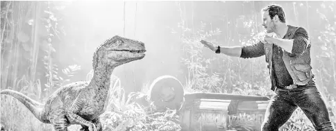  ??  ?? Pratt re-connects with his old friend, the velocirapt­or Blue, in ‘Jurassic World: Fallen Kingdom’. — Courtesy of Universal Studios