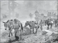  ?? GETTY IMAGES ?? Mules carry ammunition over a mountain pass during the 1962 war.