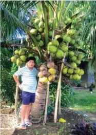 ??  ?? Dr. Pablito P. Pamplona, a DA Outstandin­g Agricultur­al Scientist Awardee in 1997, is now a coconut, oil palm, and rubber farmer who uses technologi­es generated largely in Malaysia which are transferab­le to Philippine conditions.