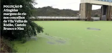  ?? ?? Mancha verde com cresciment­o rápido na albufeira da barragem espanhola de Cedillo, no rio Tejo