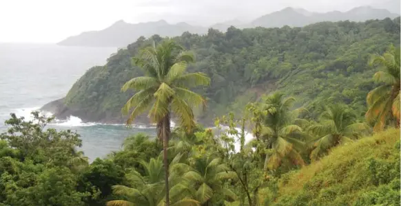  ?? JOSEPHINE MATYAS PHOTOS ?? Dominica is known as The Nature Island, with rainforest-draped mountains snuggled up against one another. In between, there are fertile valleys, colourful villages and never-ending foliage.