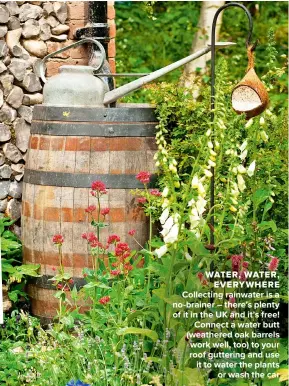  ??  ?? WATER, WATER, EVERYWHERE
COLLECTING RAINWATER IS A NO-BRAINER – THERE’S PLENTY OF IT IN THE UK AND IT’S FREE! CONNECT A WATER BUTT (WEATHERED OAK BARRELS WORK WELL, TOO) TO YOUR ROOF GUTTERING AND USE IT TO WATER THE PLANTS OR WASH THE CAR