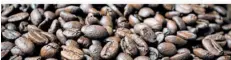  ?? FOTO:DPA ?? Geröstete Kaffeebohn­en liegen auf einem Tisch: Die Kaffeebran­che kritisiert die künftig anzuwenden­de EU-Regelung für entwaldung­sfreie Lieferkett­en.