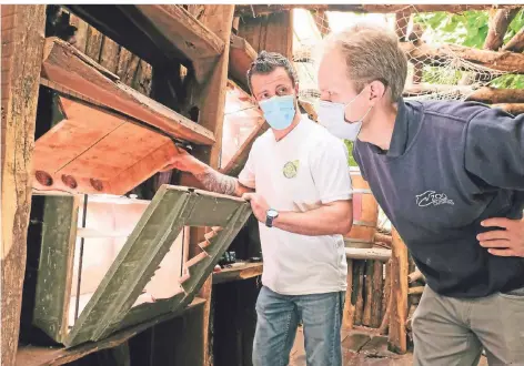  ?? FOTOS: STEFAN AREND ?? Terrarienb­auer Dennis Bautze und Tierpflege­r Rene Ostendorf besprechen, wie das Klima für die Ameisen konstant gehalten werden kann.