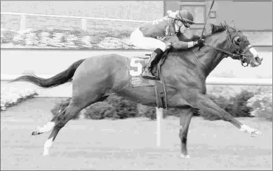  ?? LINSCOTT PHOTOGRAPH­Y ?? Mr Ritz enters the Ontario Derby off a score in the Caesars Stakes at Indiana Grand.