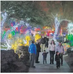  ?? Las Vegas Review-journal File Photo ?? People enjoy the lights of the Ethel M Chocolates’ annual Holiday Cactus Lights during a previous holiday.