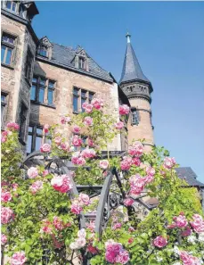  ?? FOTO: FELICITAS REMMERT/DPA ?? In Sachsen-Anhalt gibt es viele schöne und üppig angelegte Gärten zu bestaunen – meistens rund um ein Schloss oder Herrenhaus.