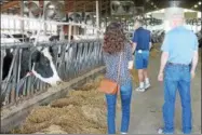  ??  ?? Event-goers checking out a cow barn at Sundae on the Farm on Father’s Day 2017 at King’s Ransom Farm, home of King Brothers Dairy, in Northumber­land.