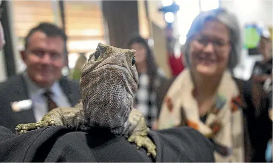  ?? WARWICK SMITH/STUFF ?? A tuatara named Big Boy makes his presence felt at the Wildbase Recovery opening, with Palmerston North mayor Grant Smith and Conservati­on Minister Eugenie Sage.