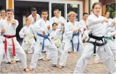  ?? Fotos: Christine Schmid-Mägele ?? Die Taekwondo-Gruppe aus Mühlhausen führte beim Fest der Begegnung ihre Künste vor.