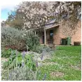  ??  ?? OPPOSITE: Best-selling author Fiona McIntosh and (above) her stone cottage in the Clare Valley.