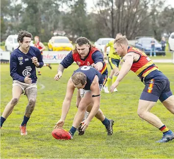  ?? Photograph­s: Fearghus Browne ?? Catani’s Brad Adams makes it to the ball ahead of two Longwarry players on Saturday.