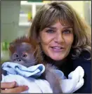  ??  ?? Safe: Rieke is cuddled by Alison Cronin, Monkey World director