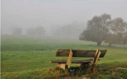  ?? Foto: Beate Schümann ??