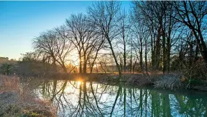  ?? Picture: John Miller/national Trust Images ?? The National Trust has unveiled plans for a “green corridor” along the River Avon to link the centre of Bath with the surroundin­g countrysid­e and create new habitat for wildlife