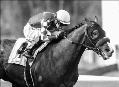  ?? BENOIT PHOTO ?? Reincarnat­e, winning the Sham Stakes, was thought to look like and have the potential of his tail-line sire Holy Bull, Horse of the Year in 1994. He runs Saturday in the Rebel at Oaklawn.