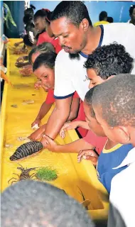  ??  ?? The sea cucumber was one of the creatures about which the students had many questions.