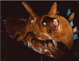  ?? Sean Kilpatrick / The Canadian Press via Associated Press ?? Canadian Museum of Nature paleontolo­gist Jordan Mallon shows off a model of a skull of new dinosaur species named Spiclypeus shipporum as it was displayed at the museum Wednesday in Gatineau, Quebec.